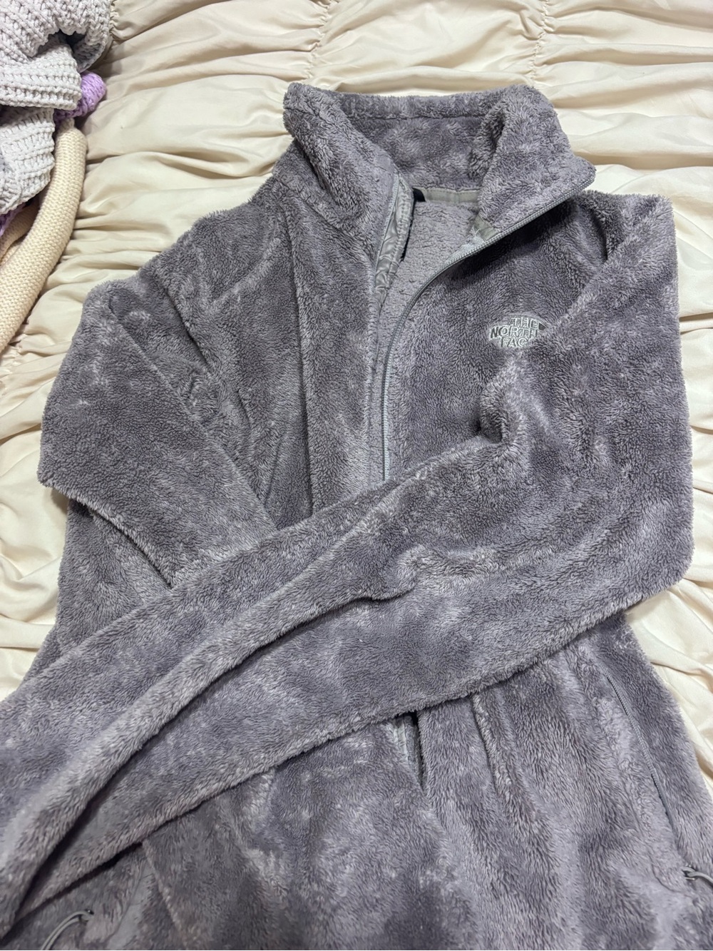 The North Face Plush Fleece Jacket in Heather Gray